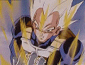 vegeta vegeta