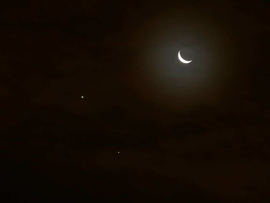 Venus Venus