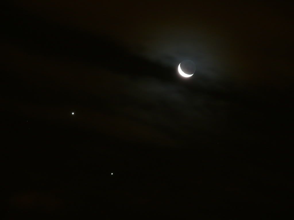 Venus Venus