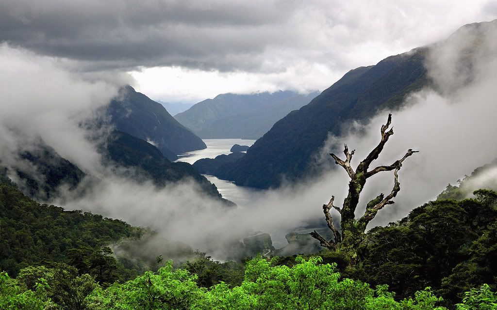 01050_doubtfullsoundnewzealand_1920.jpg