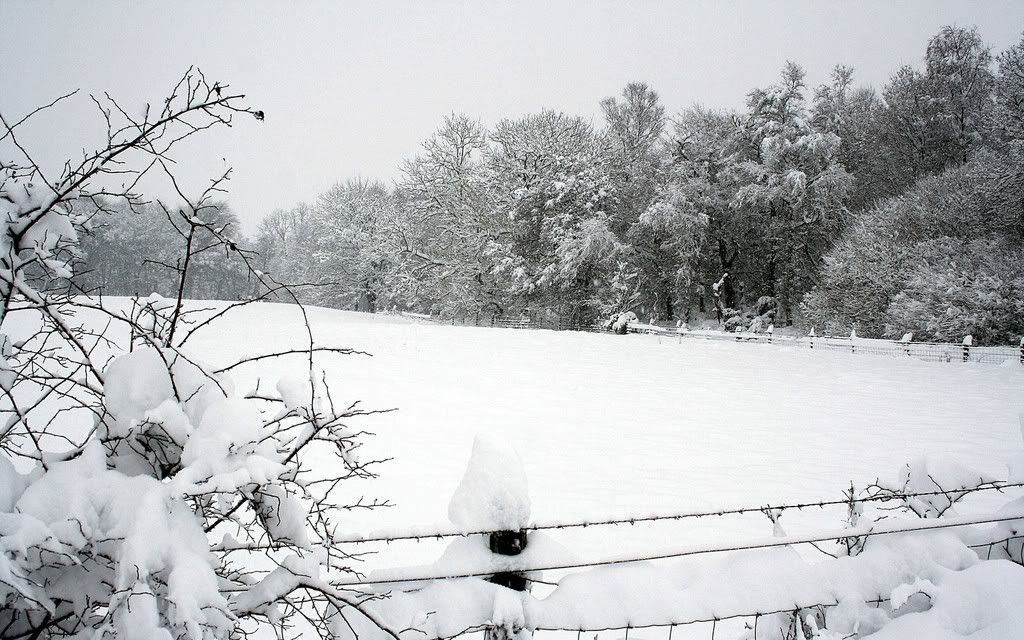 111289547_d866cfea2c_o.jpg