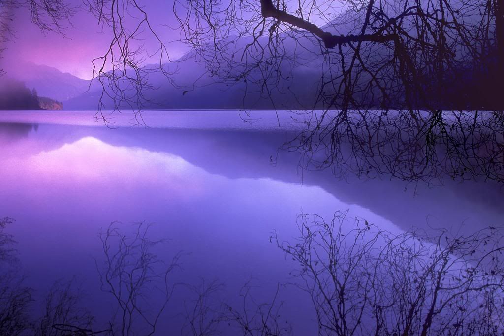 36781_poster2000.jpg