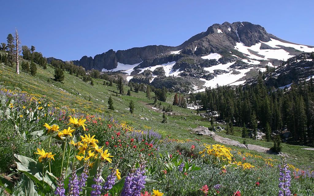 74023448_7ff6c065d3_o.jpg