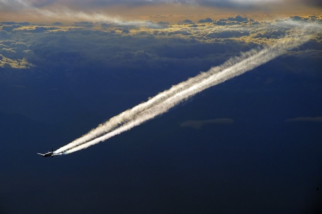 Airbus-A321-112.jpg
