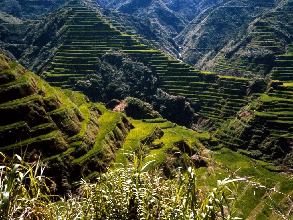 AncientRiceTerracesPhilippines.jpg