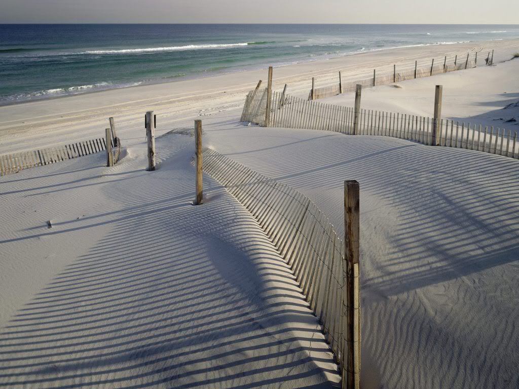 IslandBeachStateParkNewJersey.jpg