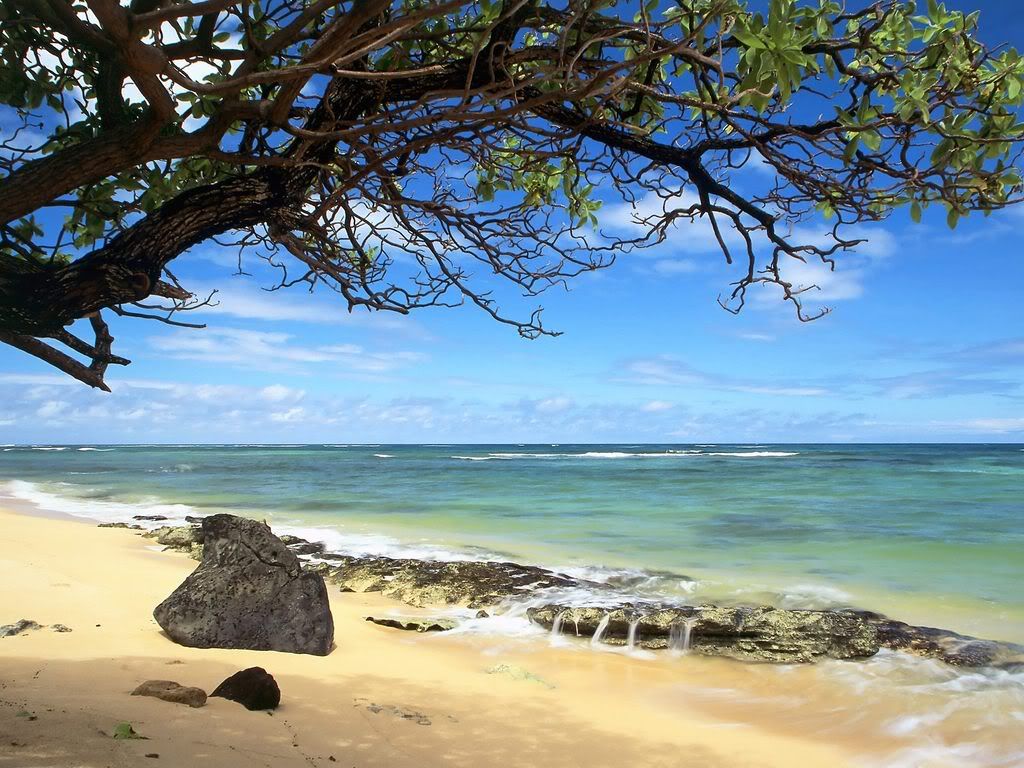KaneneluBeachOahuHawaii.jpg