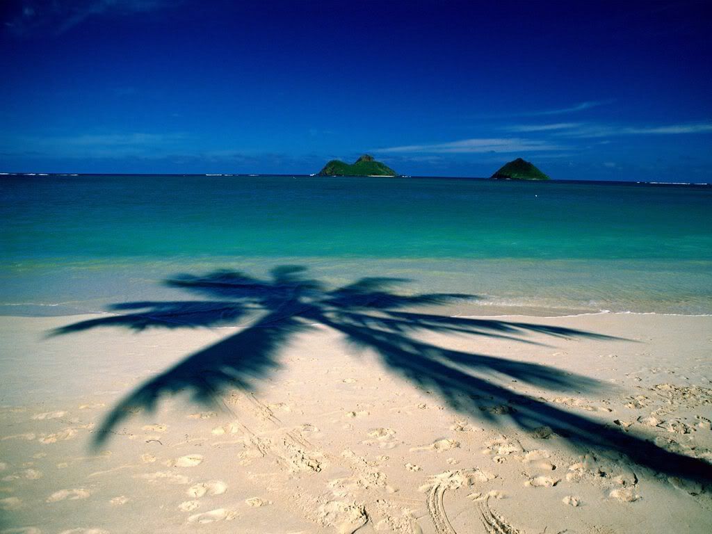 LanikaiBeachOahuHawaii.jpg