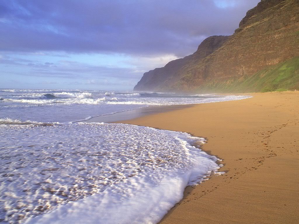 PolihaleBeachKauaiHawaii.jpg