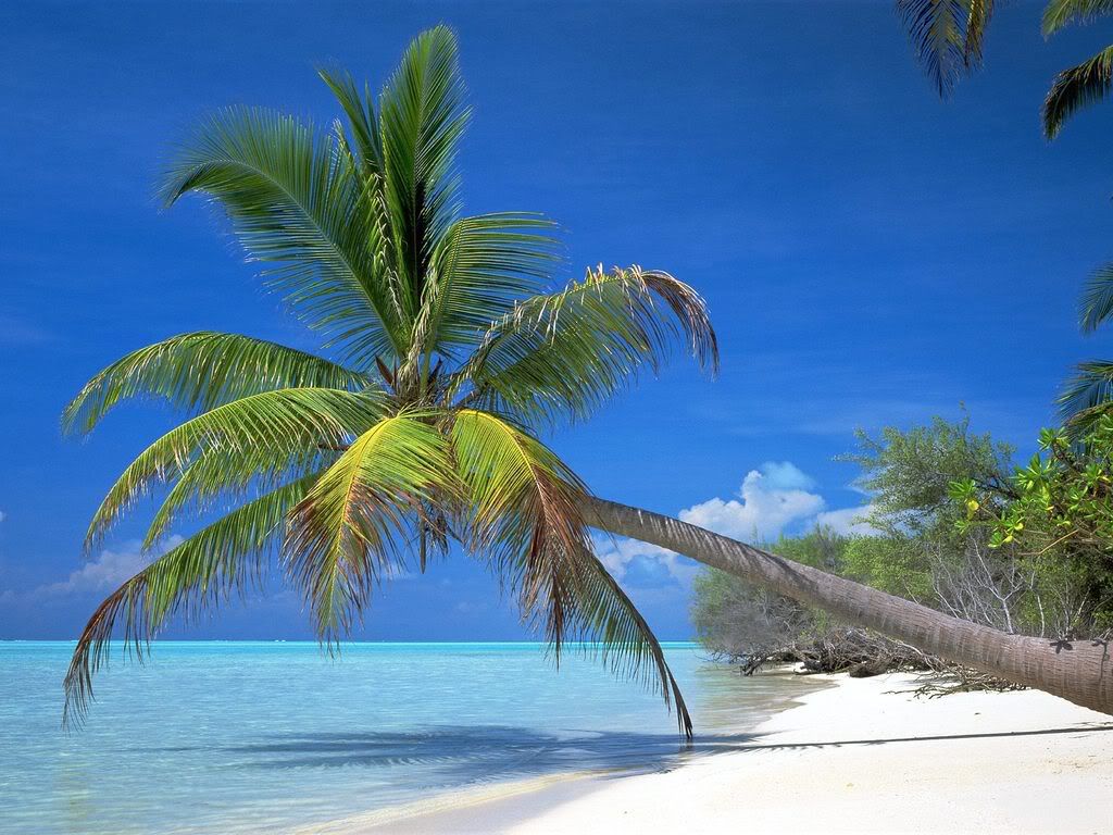 SunandSand.jpg