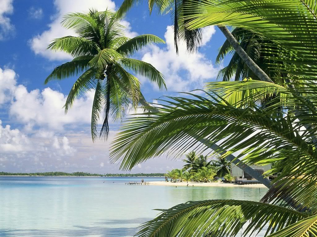 TakapotoIslandFrenchPolynesia.jpg