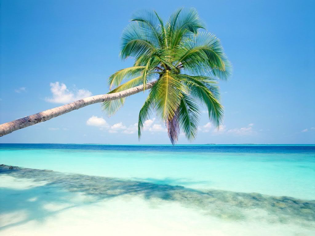 TropicalIslandMaldives.jpg