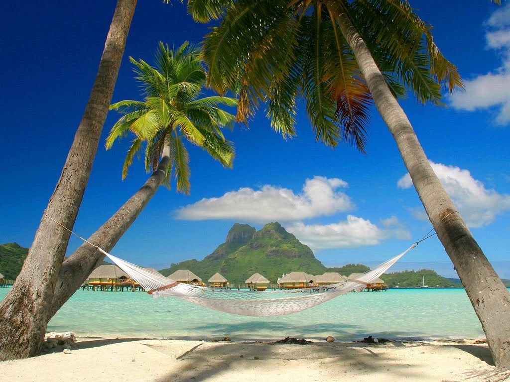 TropicalSleepawayBoraBoraFrenchPoly.jpg