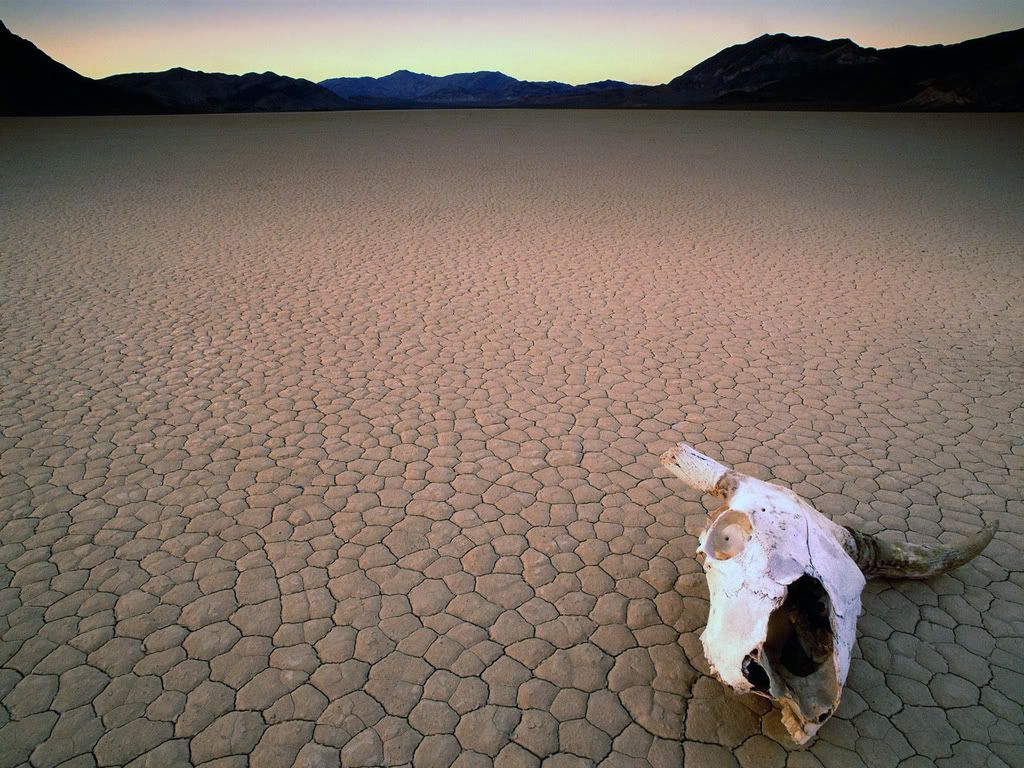BoneDryDeathValleyCalifornia-1600x1.jpg