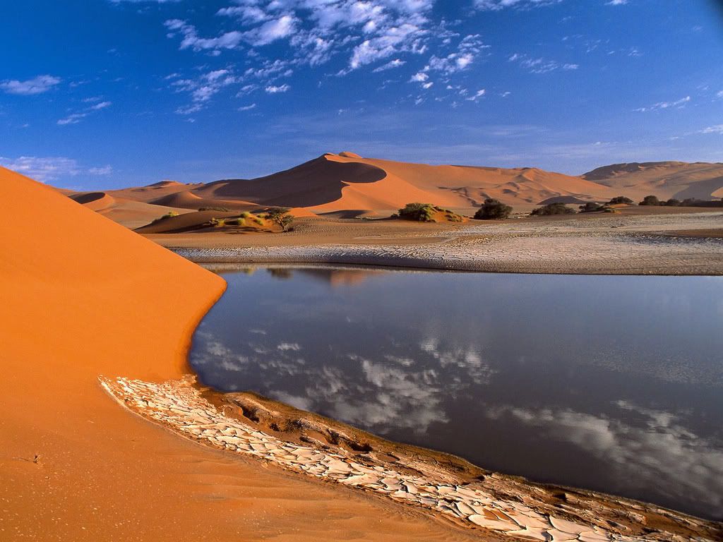 DesertOasis-1600x1200-ID33324-PREMI.jpg