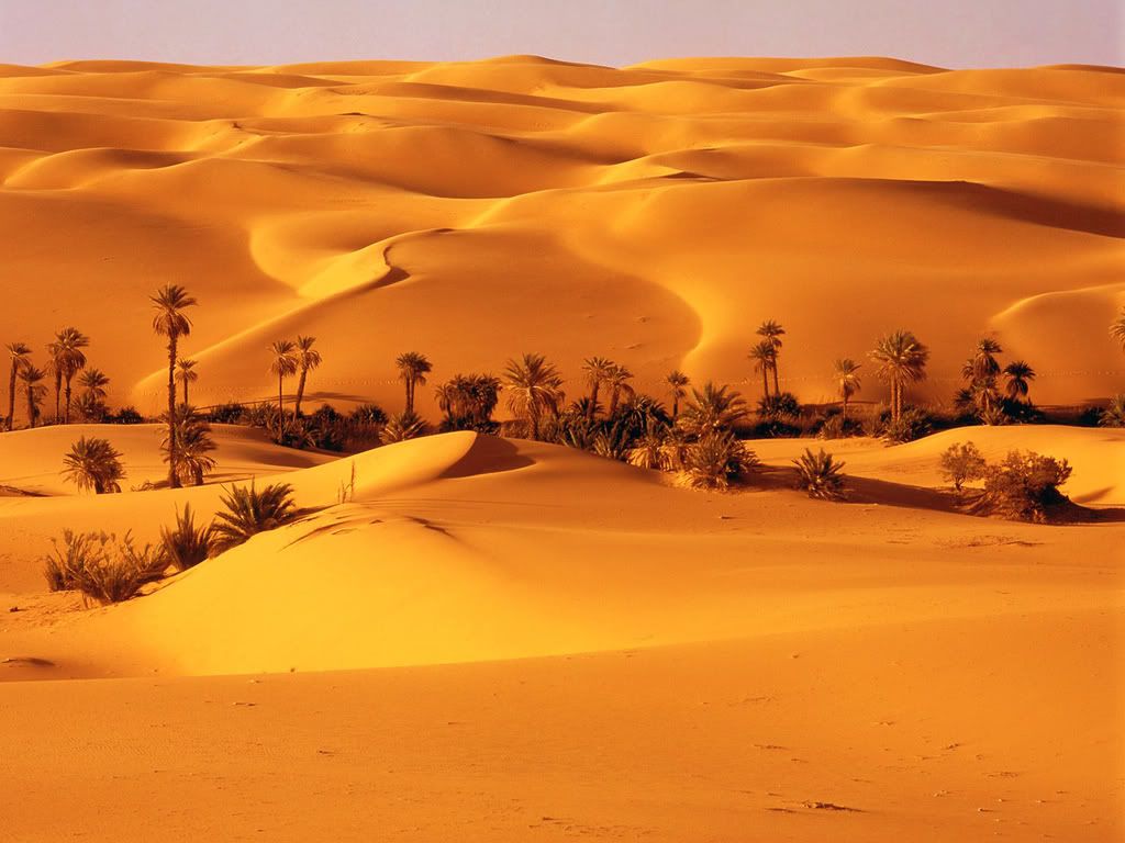 DesertOasisLibya-1600x1200-ID32980.jpg