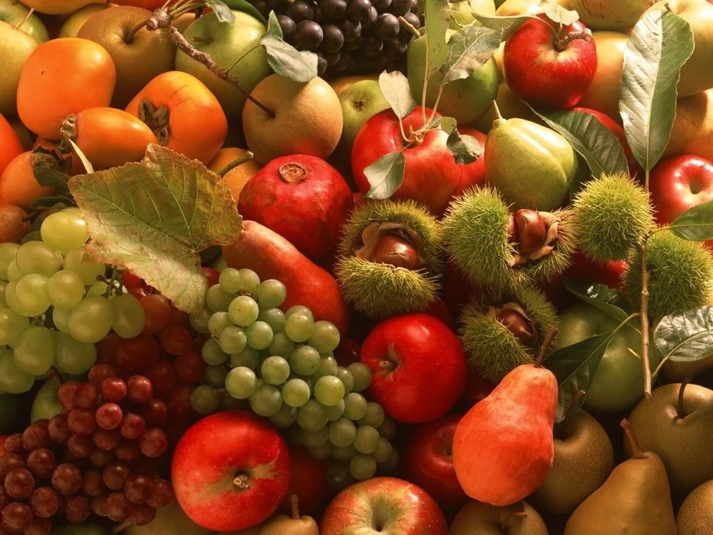 Fruit-Basket-18-YZ9NDK4KJJ-1024x768.jpg