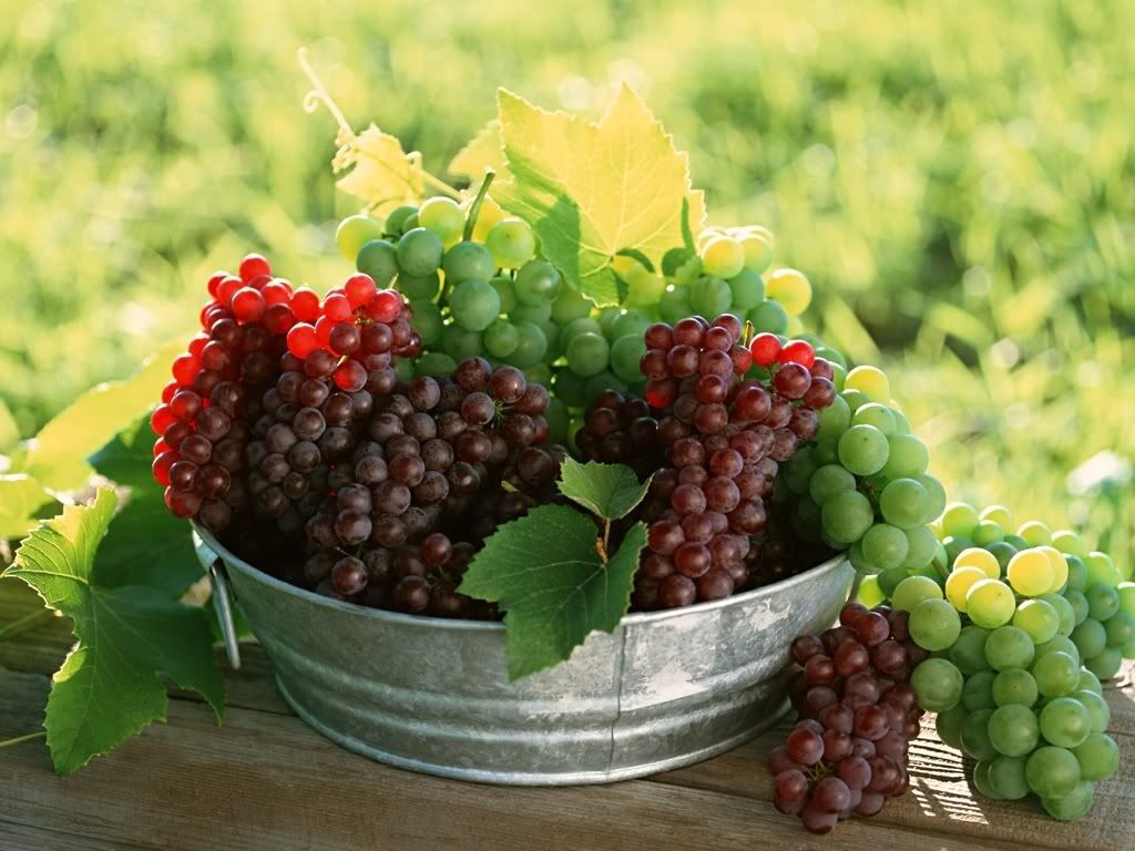 Grapes-3-TWKFUG6UZ7-1024x768.jpg
