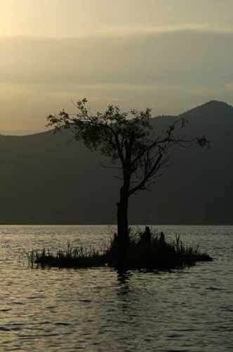 10739_433.jpg