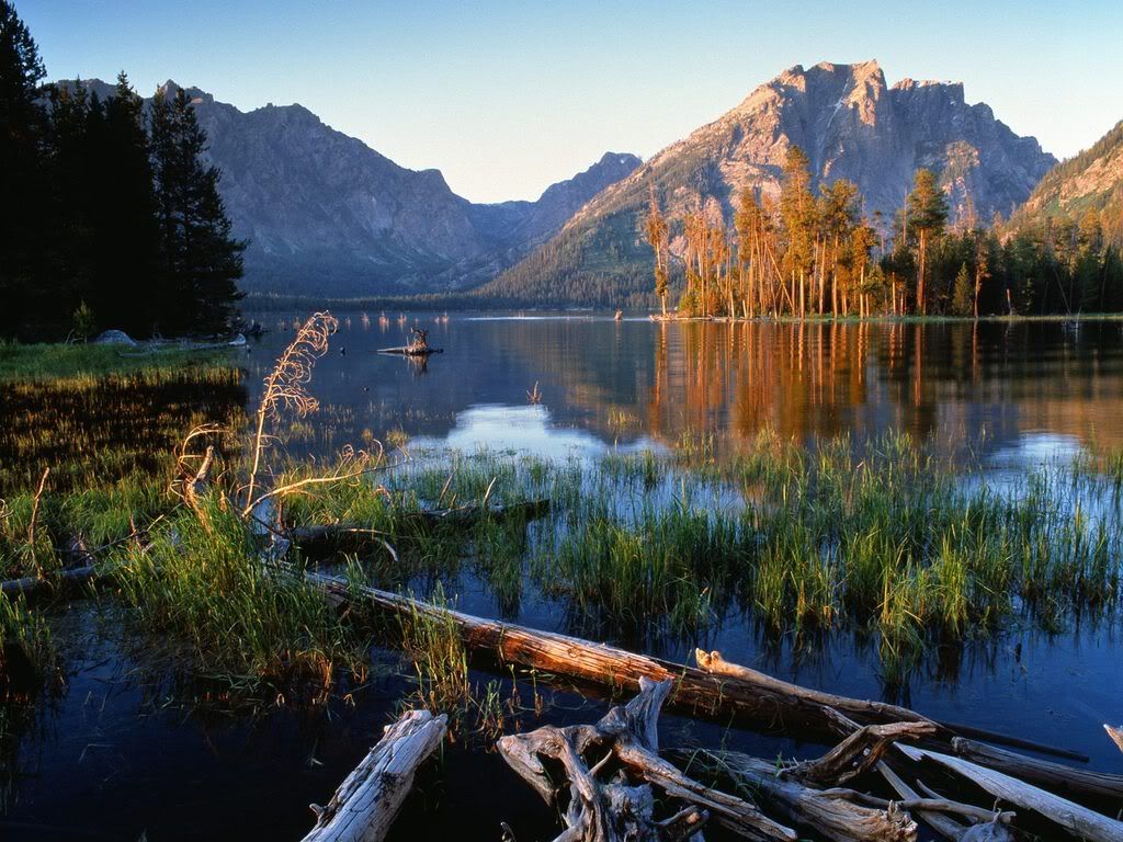 JacksonLakeatSunriseGrandTetonNatio.jpg