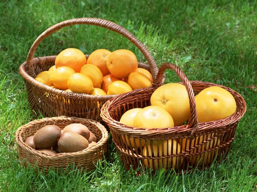 Kiwis-Oranges-Grapefruits-1-MUUSBZX.jpg