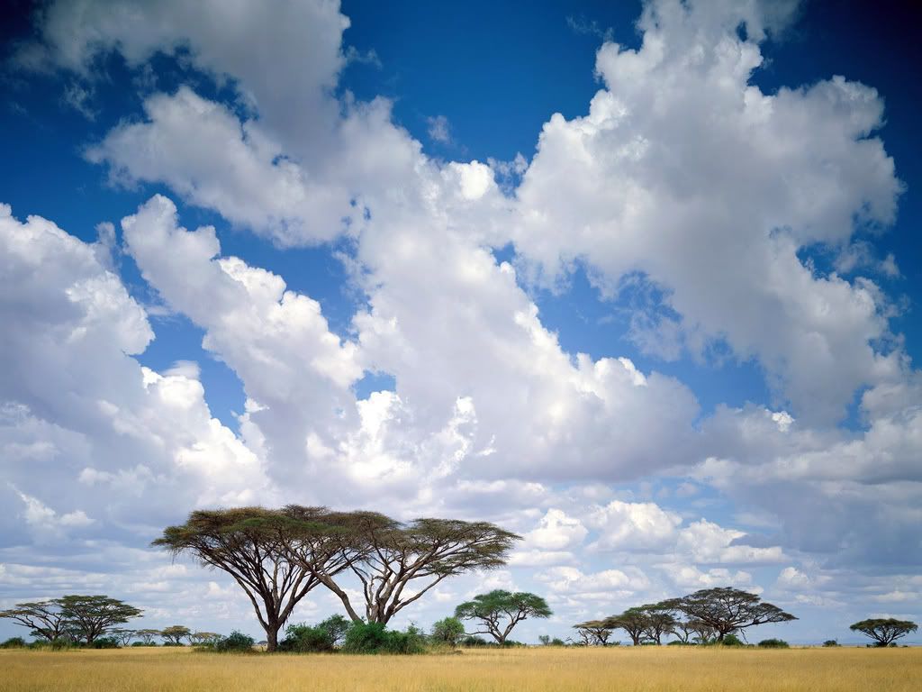 MasaiMaraGameReserveKenya.jpg