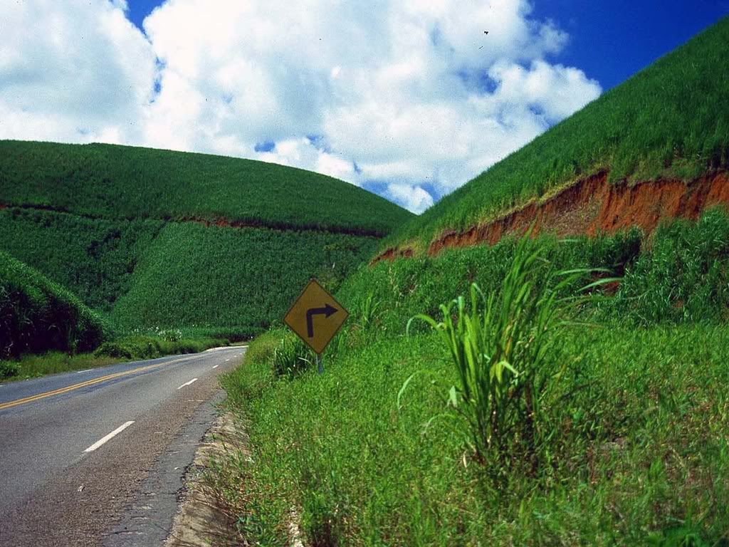 Recife_highway_and_sugar-cane_field.jpg