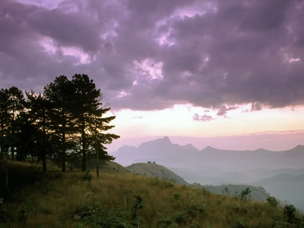 Serra_dos_Orgaos_National_Park_Braz.jpg