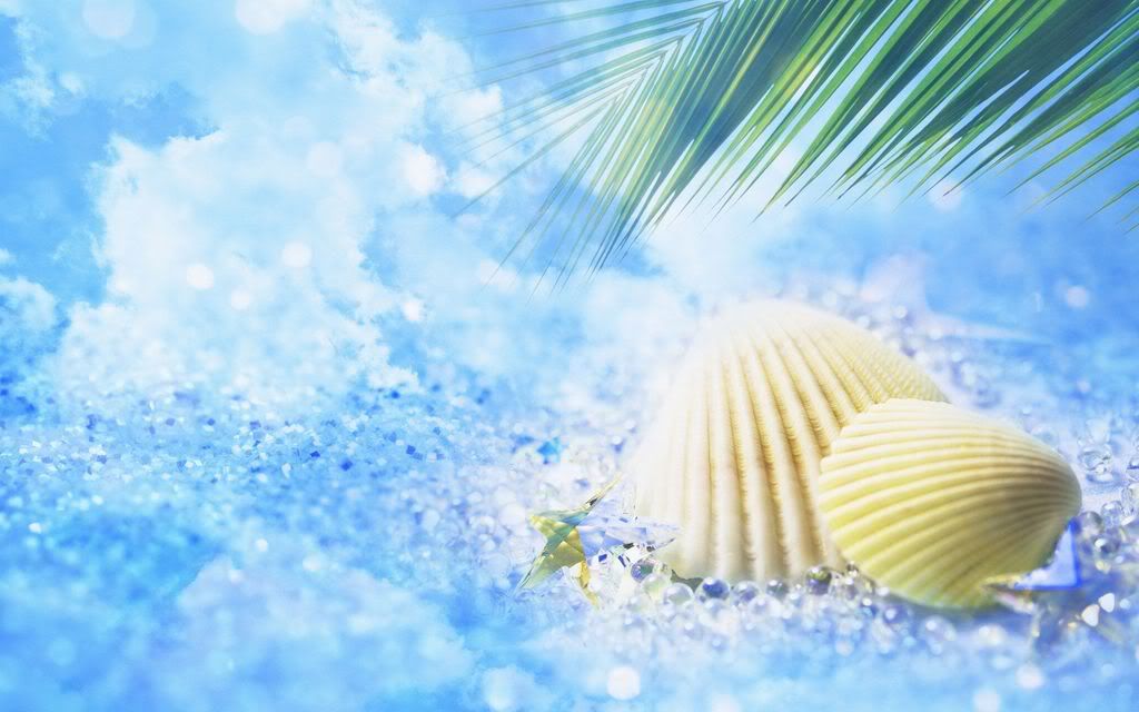 summers_shine_18.jpg