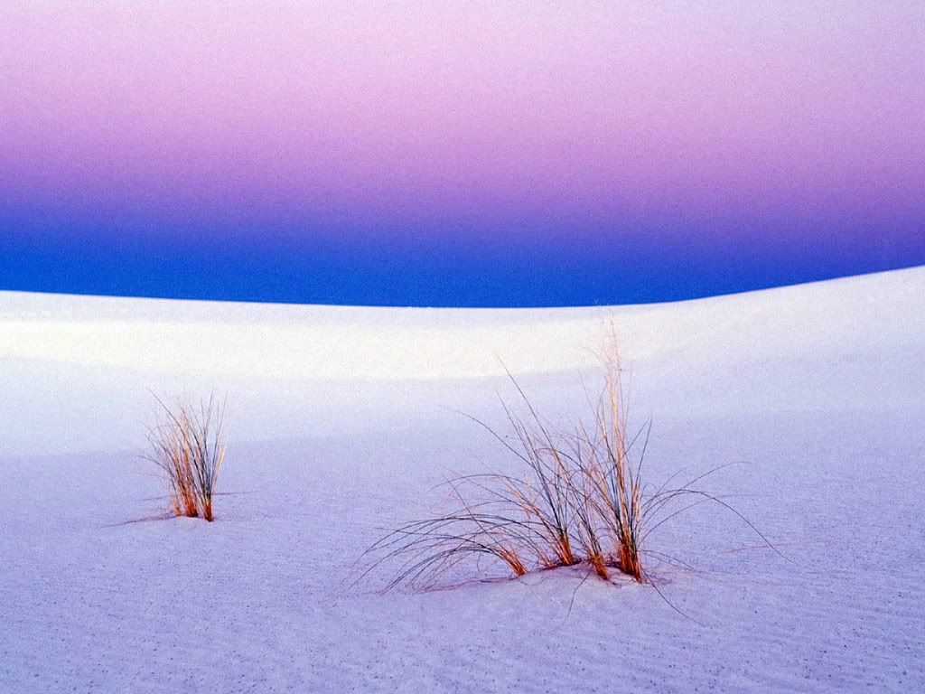 TranquilityWhiteSandsNewMexico-1600.jpg