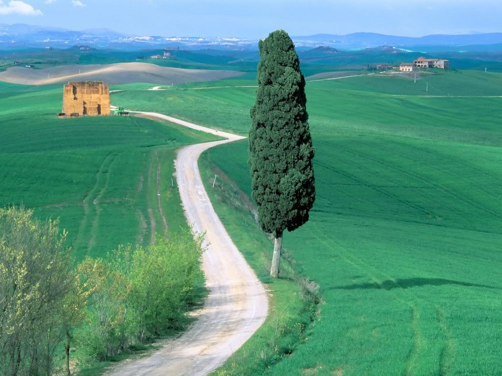 CountryRoadTuscanyItaly.jpg