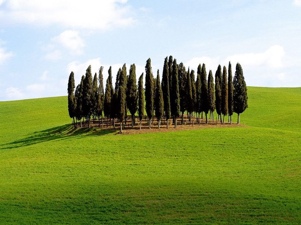 ScenicSienaProvinceTuscanyItaly.jpg