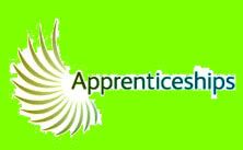 an example of a university offering apprenticeship training