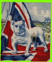 Bulldog on flag: detail from a Canadian postcard at Bow City Philatelics Ltd - click to go to website