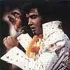Elvis Aaron Presley: the king