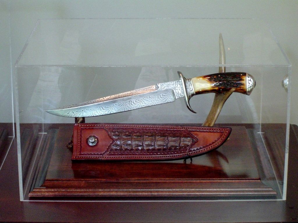 242.jpg