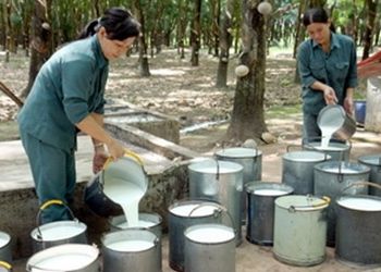 Thị Trường Cạnh Tranh