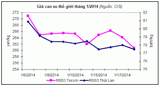 Báo cáo ngành hàng cao su tháng 1.2014