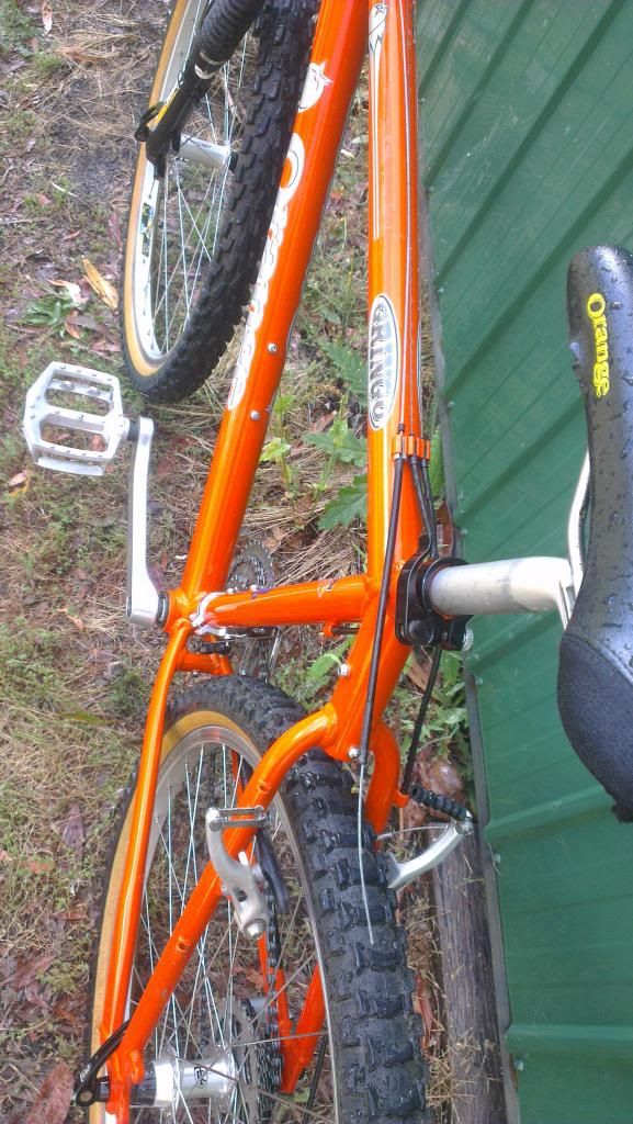 VIC Orange Gringo sold Rotorburn