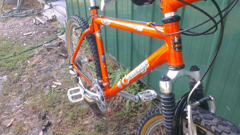 VIC Orange Gringo sold Rotorburn