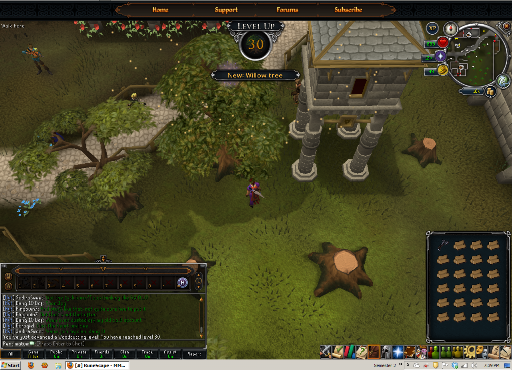 30Woodcutting.png