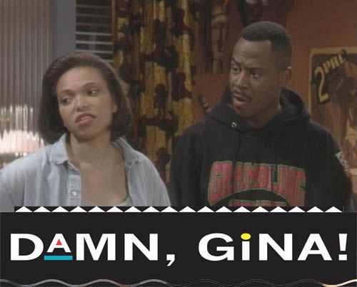 Damn, Gina and oher phrases explained - The Palmetto Peaches