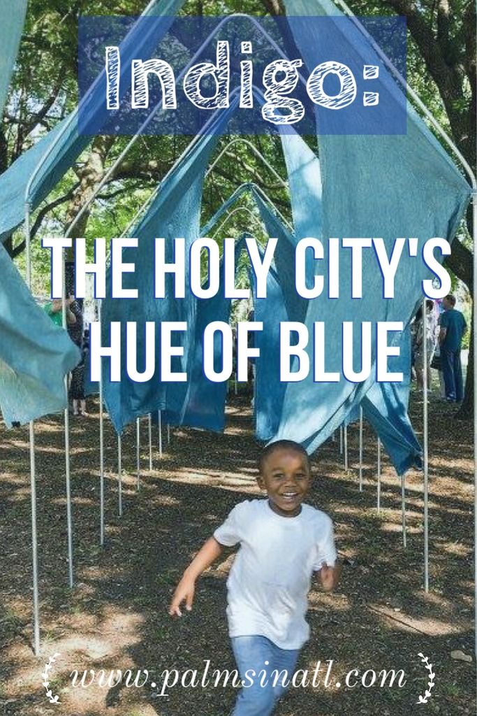 Indigo: Holy City Hue--The Palmetto Peaches 