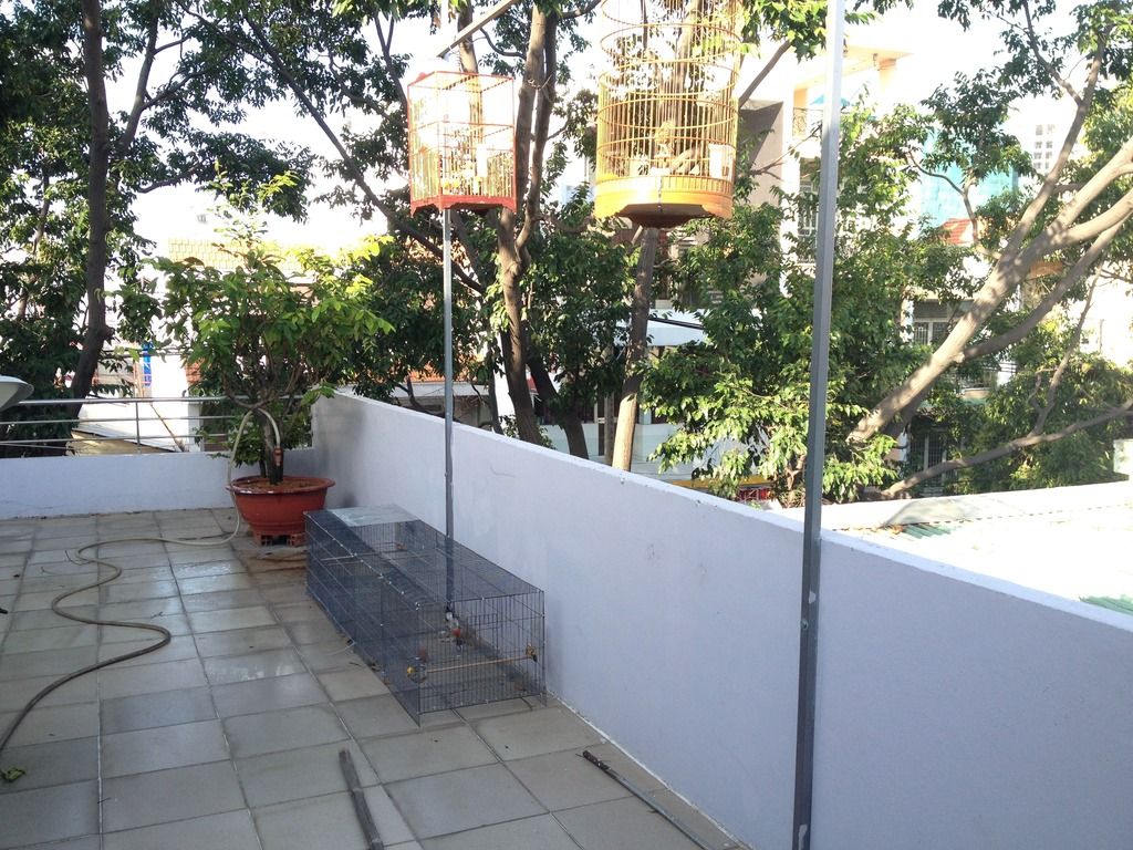 tongthesanthuong1.jpg