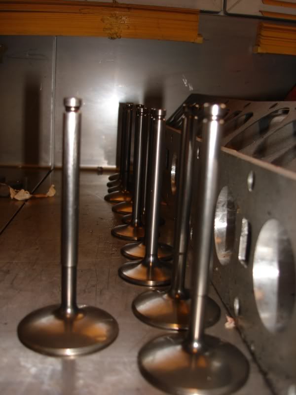 [Image: DSC03613.jpg]