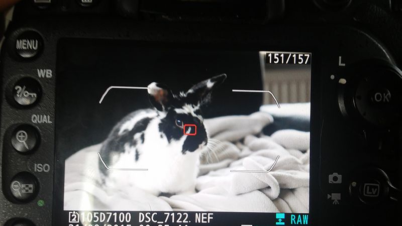 Fotografie