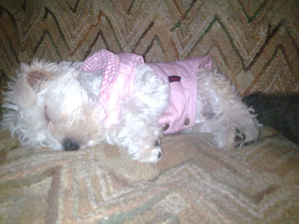 Image237.jpg sleeping like a baby image by dannie_kl