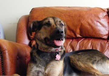 IMAGE: http://i284.photobucket.com/albums/ll21/joe_incognito/Dorie1.jpg