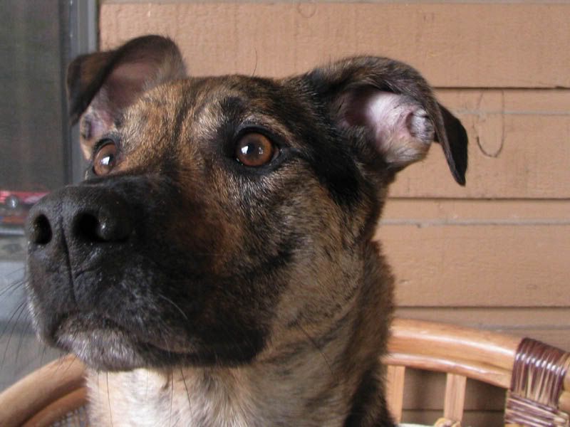 IMAGE: http://i284.photobucket.com/albums/ll21/joe_incognito/Dorie_02.jpg