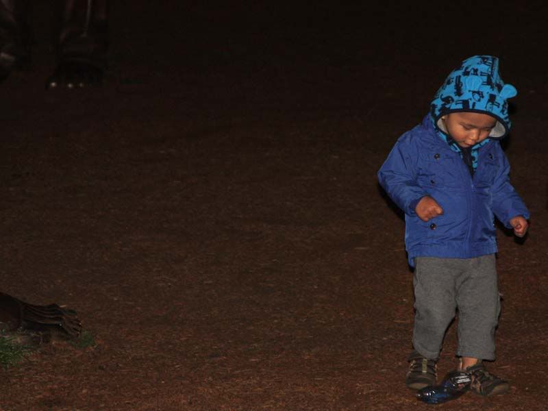 IMAGE: http://i284.photobucket.com/albums/ll21/joe_incognito/More%20random%20Crap/00_Kid1-1.jpg